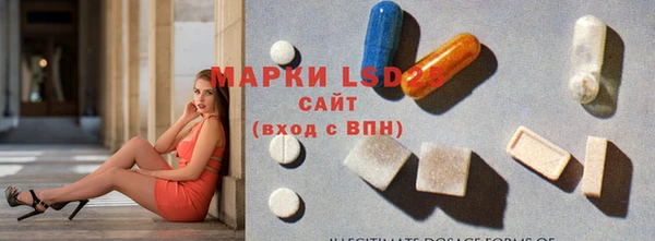 ГАЛЛЮЦИНОГЕННЫЕ ГРИБЫ Вязьма