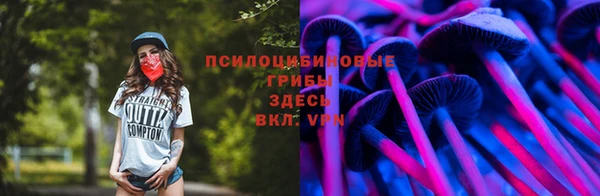 дживик Вязники
