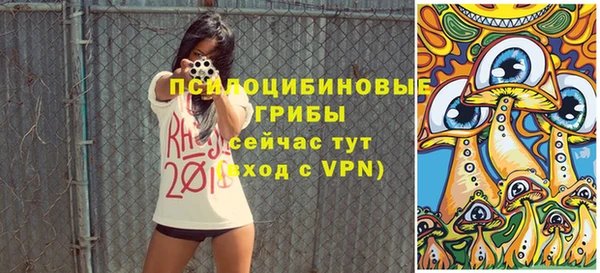 дживик Вязники